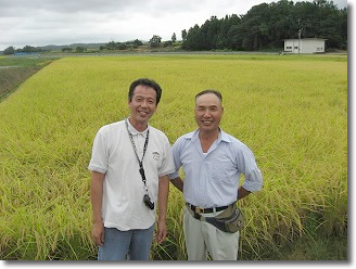 特別栽培米新潟三和コシヒカリ